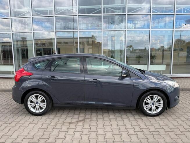 Ford Focus 1.6 TDCi DPF Champions Edition Gostynin - zdjęcie 10
