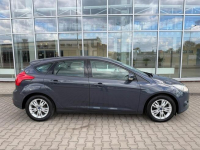 Ford Focus 1.6 TDCi DPF Champions Edition Gostynin - zdjęcie 10