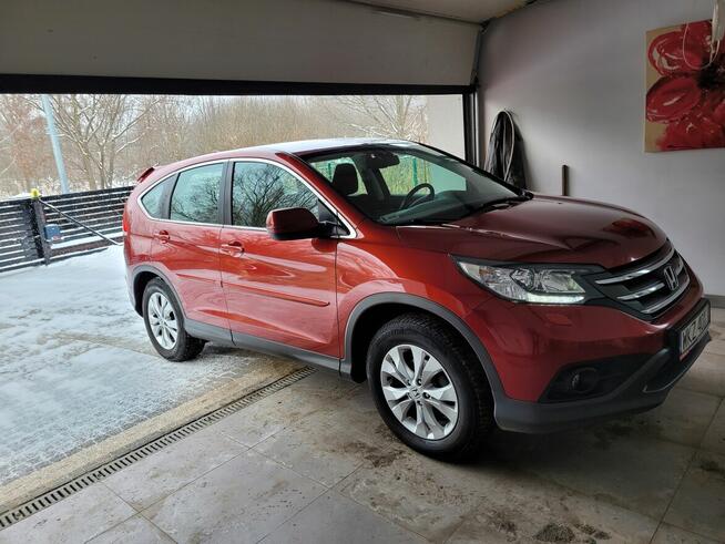 SPRZEDAM Pionki - zdjęcie 4