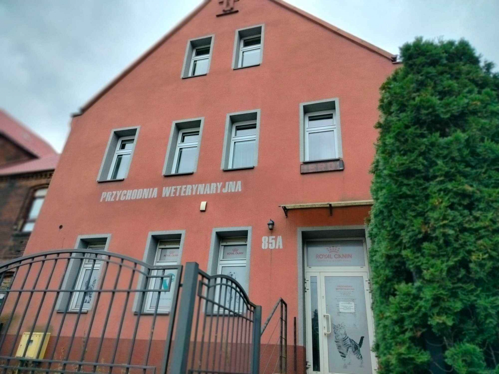 Do sprzedania 2  mieszkania 80m2  i 40 m2  plus 500 m2 gruntu Bytom - zdjęcie 10