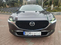 Mazda CX-30 Radar, Bliss, Kamera ,Hedup,El.Klapa, As. Park. GWARANCJA Zagórze - zdjęcie 11