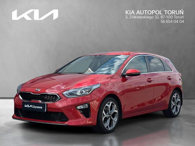 Kia Nowy Ceed Rezerwacja Toruń - zdjęcie 1