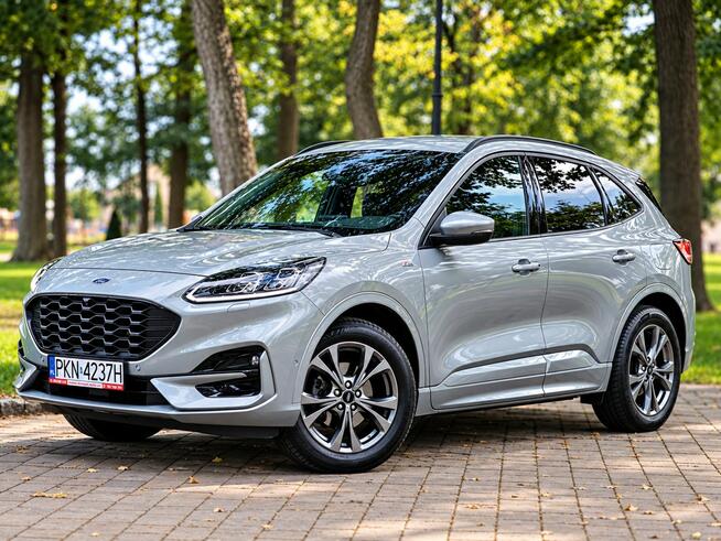 Ford Kuga Sadlno - zdjęcie 1