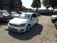 Volkswagen Golf Słupsk - zdjęcie 2