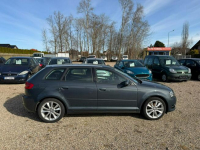 Audi A3 5-Drzwi 2012 Rok 2.0 Diesel 140 KM Ładny Zadbany Samochód Białogard - zdjęcie 6