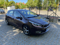 Kia Cee'd Bezwypadkowy 1.6 benzyna polski salon Kobylnica - zdjęcie 4