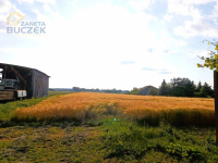 Sprzedam działkę rolną w Bronisławach