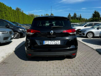 Renault Scenic 1.3i 140KM PureLED KeyLess Kamera Panorama Baranowo - zdjęcie 5