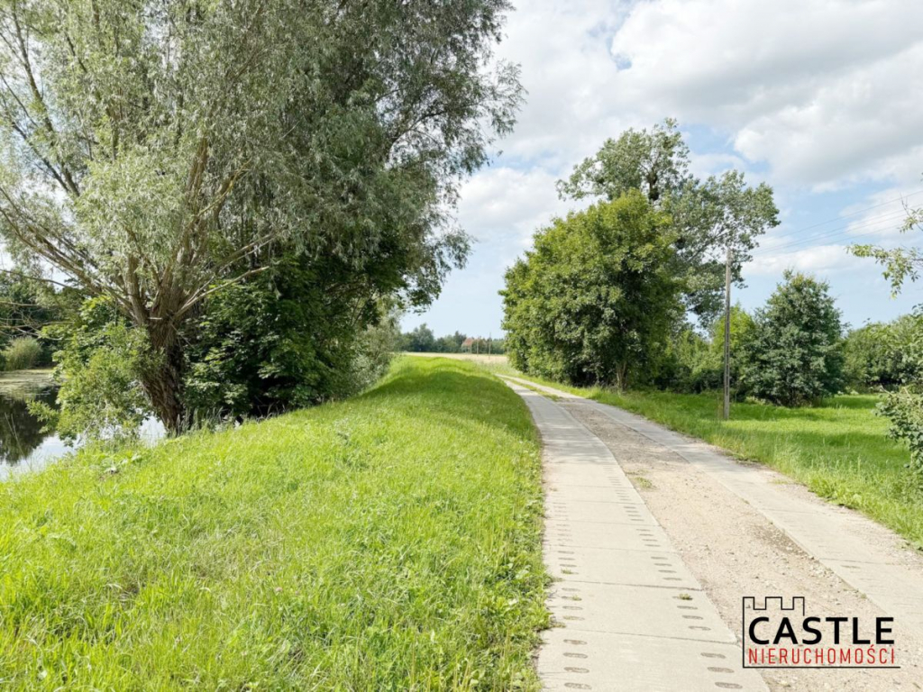10 km od Stegny I przy wale Tugi I pod stadninę Stobiec - zdjęcie 1