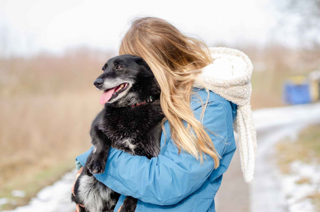 Patyk - niewielki ciałem ale wielki sercem! Olsztyn - zdjęcie 2