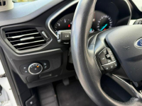 Ford Focus ParkAssist•140oootkm•Led•Super stan Nowa Wieś Rzeczna - zdjęcie 9