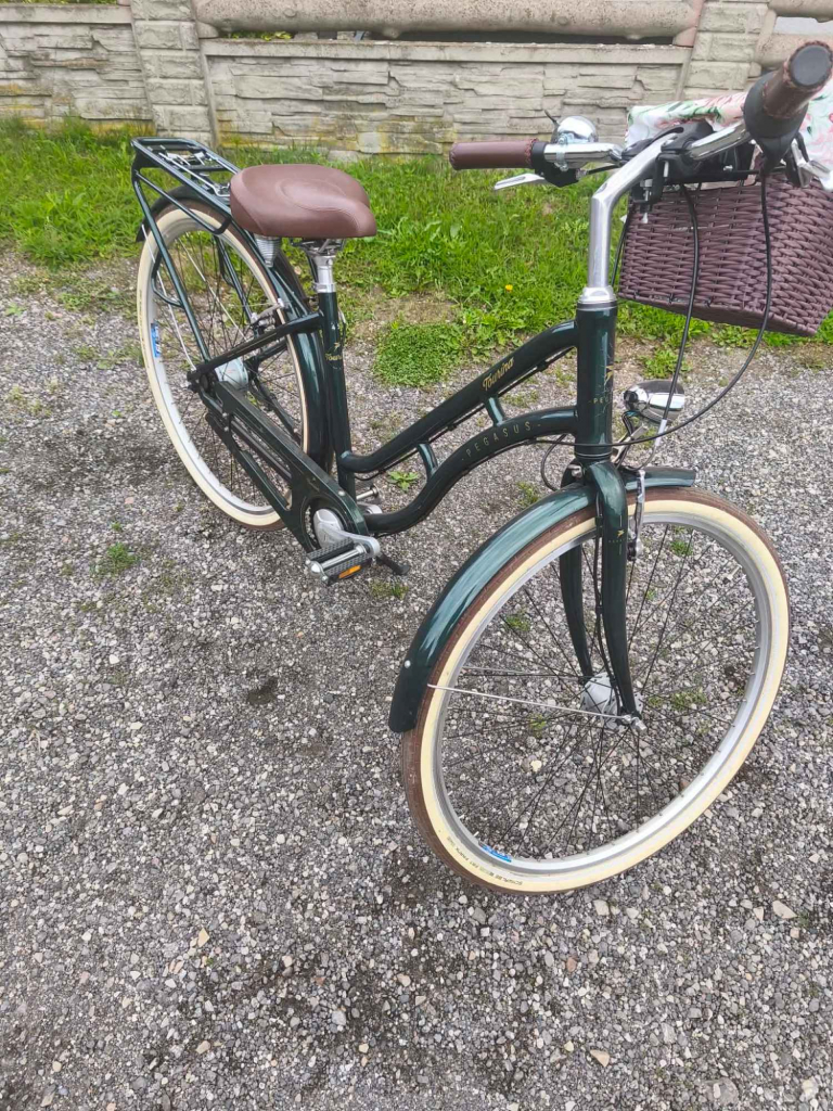 Rower damka Pegasus Radom - zdjęcie 3