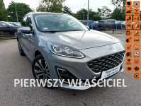 FORD KUGA 2.5 DURATEC PHEV VIGNALE