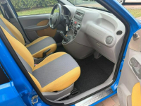 Fiat Panda Klimatyzacja bezwypadkowy !!! Rzeszów - zdjęcie 12