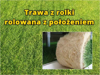Trawa z rolki, rolowana z położeniem Katowice - zdjęcie 1