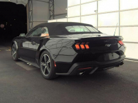 2024 Ford Mustang EcoBoost Premium Katowice - zdjęcie 6