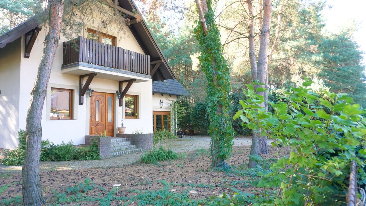 Zamieszkaj pod lasem Kalina - zdjęcie 3