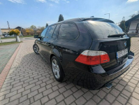 530 d M Pakiet Edition Exclusive/zarejestrowany Biała - zdjęcie 7