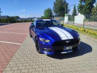 Ford Mustang zadbany oryginalny lakier serwisowany Kalwaria Zebrzydowska - zdjęcie 5