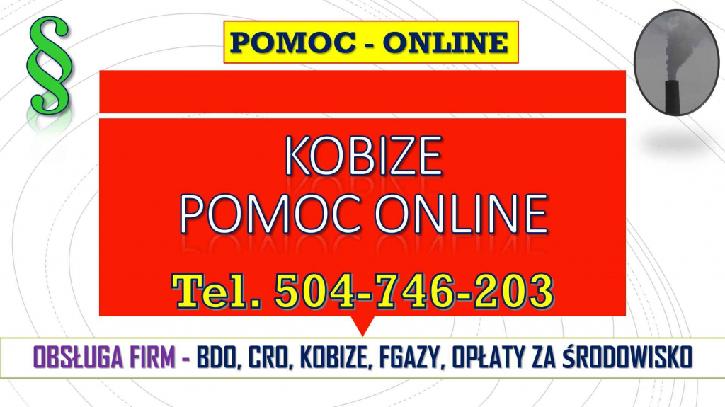 Raport do Kobize, t.502-032-782, raportowanie, wykonanie raportu, cena Psie Pole - zdjęcie 3