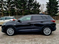 Opel Grandland X Serwis LED Parktronic Climatronic Tempomat Gwarancja Szczecin - zdjęcie 8