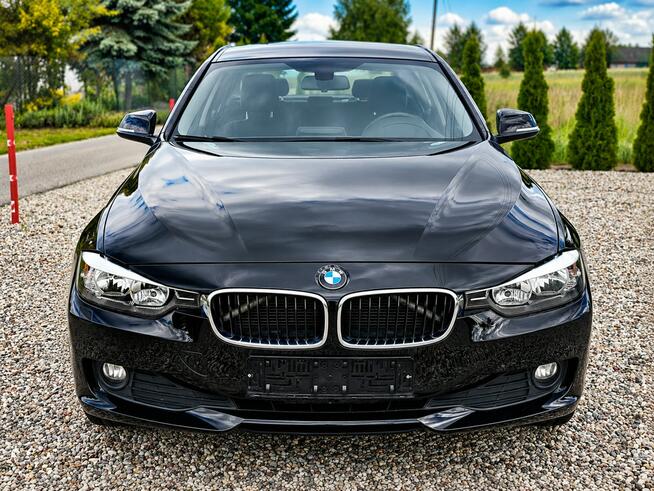 BMW 320 Sadlno - zdjęcie 2