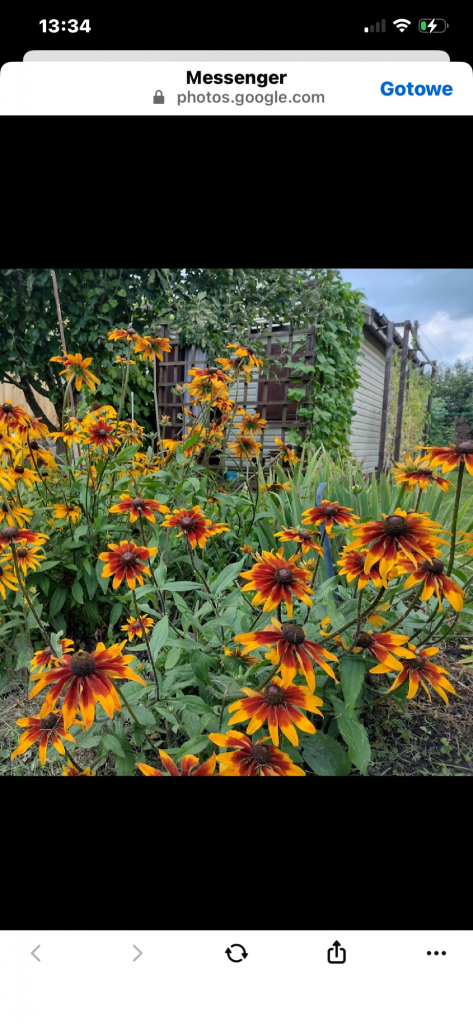 Działka Rod przy kanale bystrym Augustów - zdjęcie 5