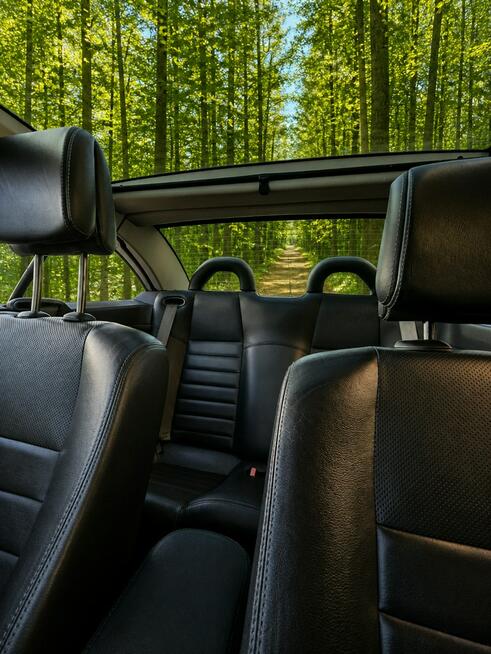 Renault Megane CABRIO Białystok - zdjęcie 5