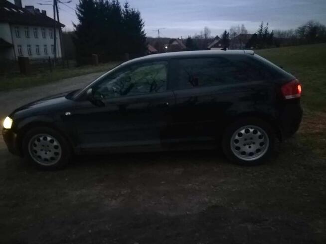 Sprzedam Audi A3 8P Pęchów - zdjęcie 1