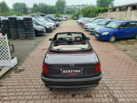 Opel Astra 1.6 benzyna / Bertone / Cabrio / Alu / Zarejestrowany Świebodzin - zdjęcie 11