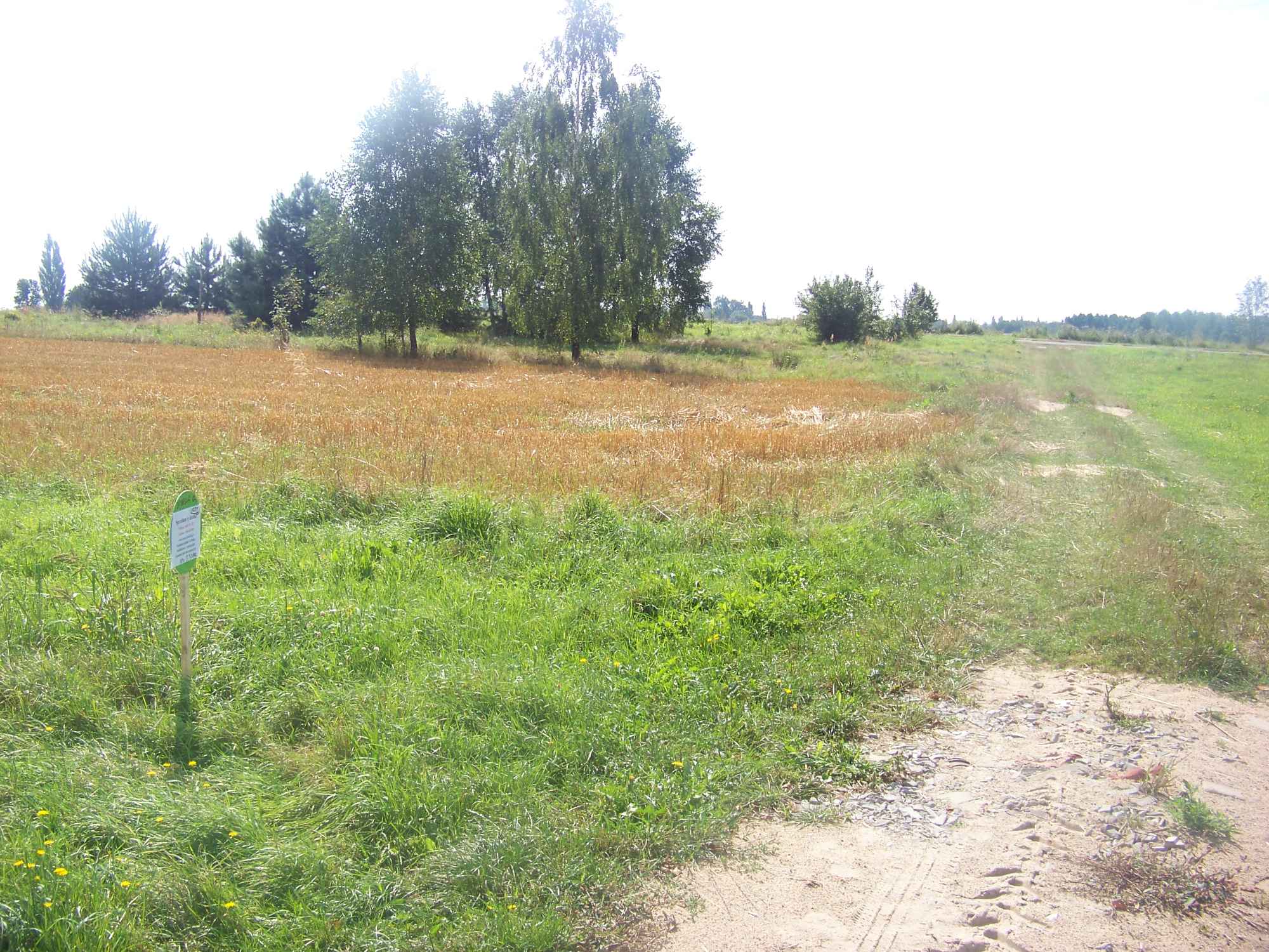 Działka na sprzedaż Dąbrowa gm. Mrozy Mrozy - zdjęcie 3