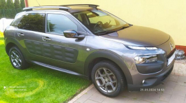 Citroen C4 Cactus, kamera, czujniki parkowania, nowy rozrząd
