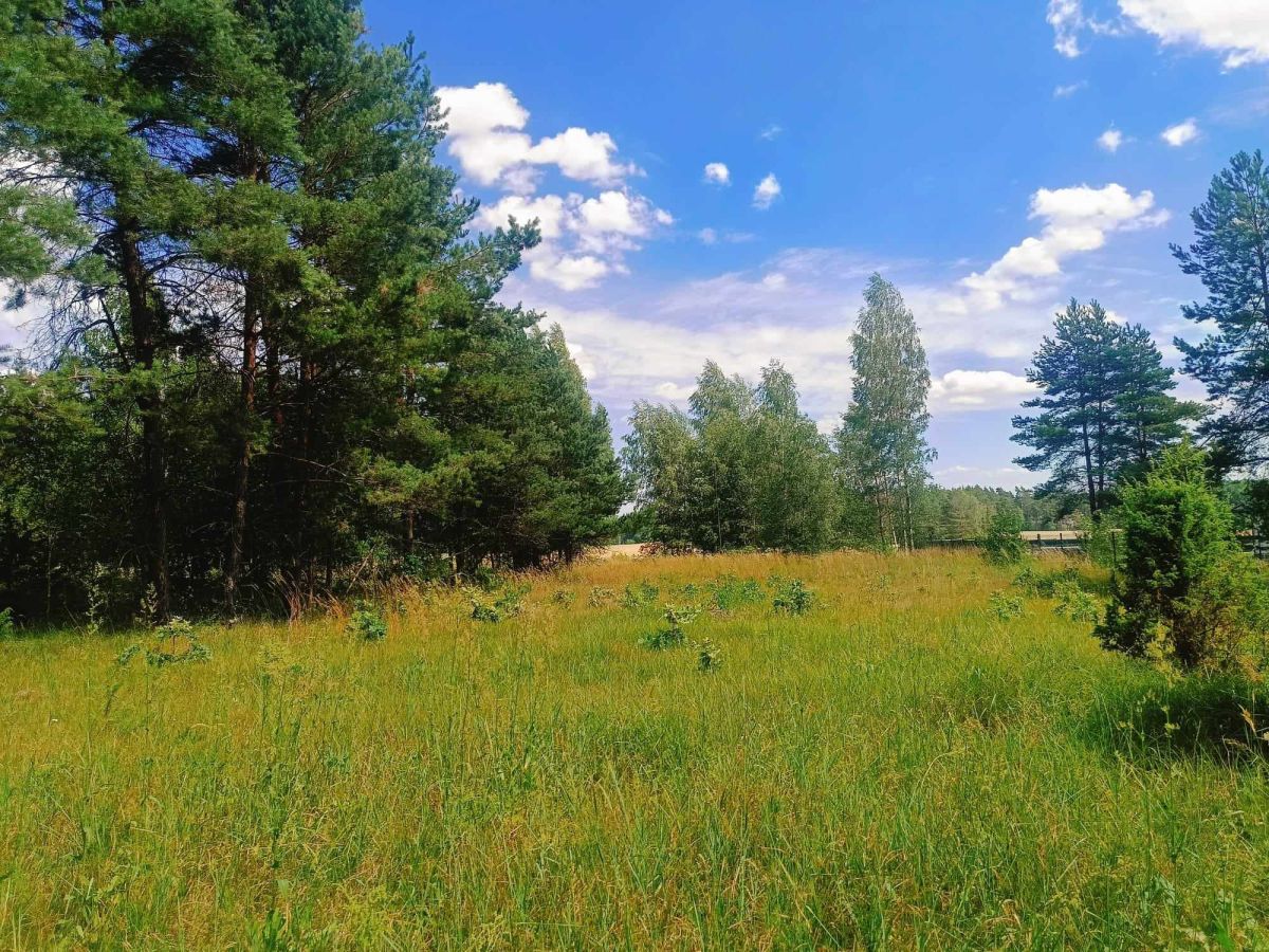 Działka budowlana 2000m2 w Zaczerlanach Zaczerlany - zdjęcie 2