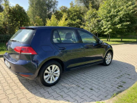 Volkswagen Golf 1.6 TDI świetny stan, brak wkładu Poznań - zdjęcie 5