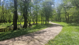 Duże, mieszkanie 65,90m2, 3pokoi, 2łazienki, ogród/ Brochów Wrocław - zdjęcie 4