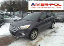 Ford Escape 2018, 1.5L, 4x4, po gradobiciu