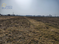 Sprzedam działki z WZ w Skarbikowie Skarbikowo - zdjęcie 8