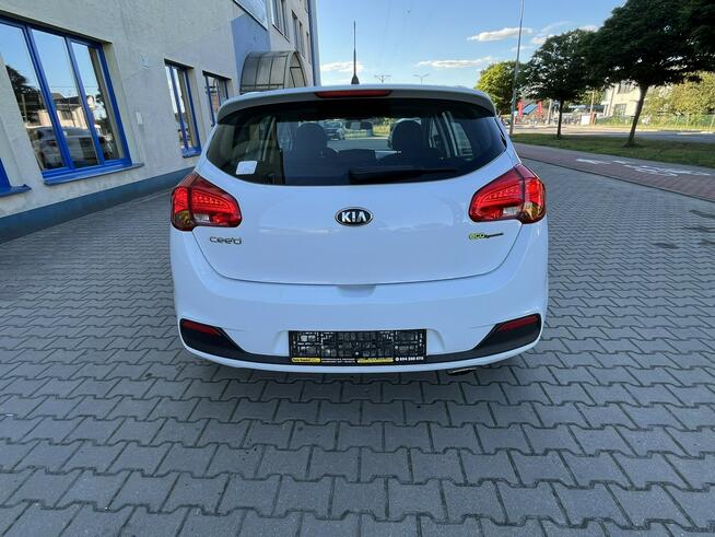 Kia Ceed II 1.6B 2013r Led Nawigacja Biała Perła 5-Drzwi Serwis Klima! Sokołów Podlaski - zdjęcie 6