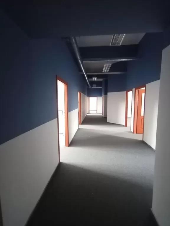 Lokal na wynajem Warszawa Mokotów Mokotów - zdjęcie 11