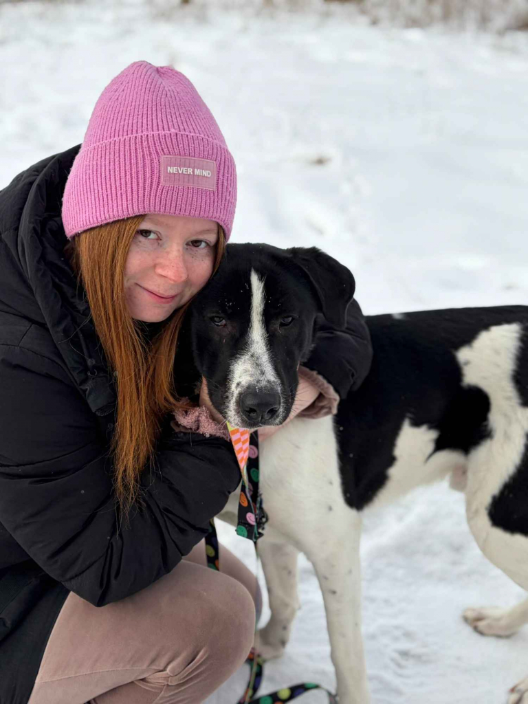 Apollo - wielki pies z wielkim sercem! Olsztyn - zdjęcie 5