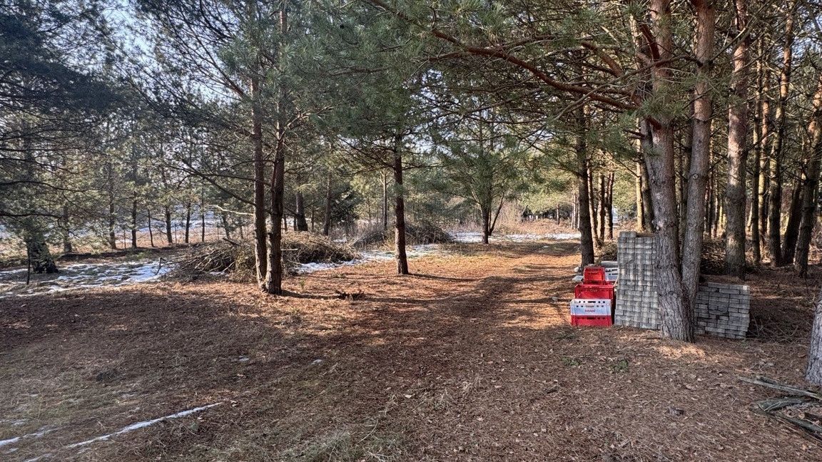 Działka 3328m²-WZ-10 km od Białegostoku Woroszyły - zdjęcie 2