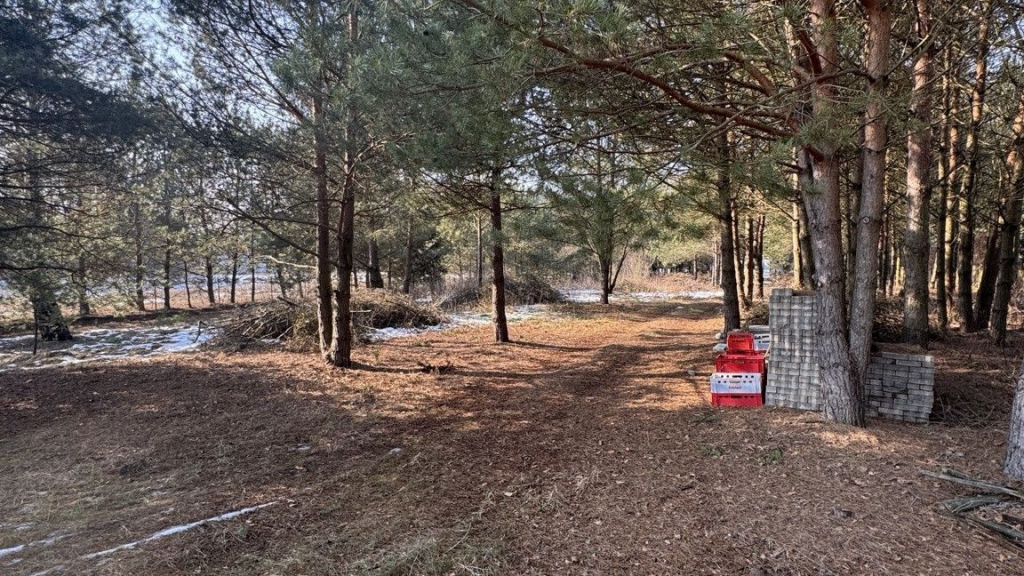 Działka 3328m²-WZ-10 km od Białegostoku Woroszyły - zdjęcie 2