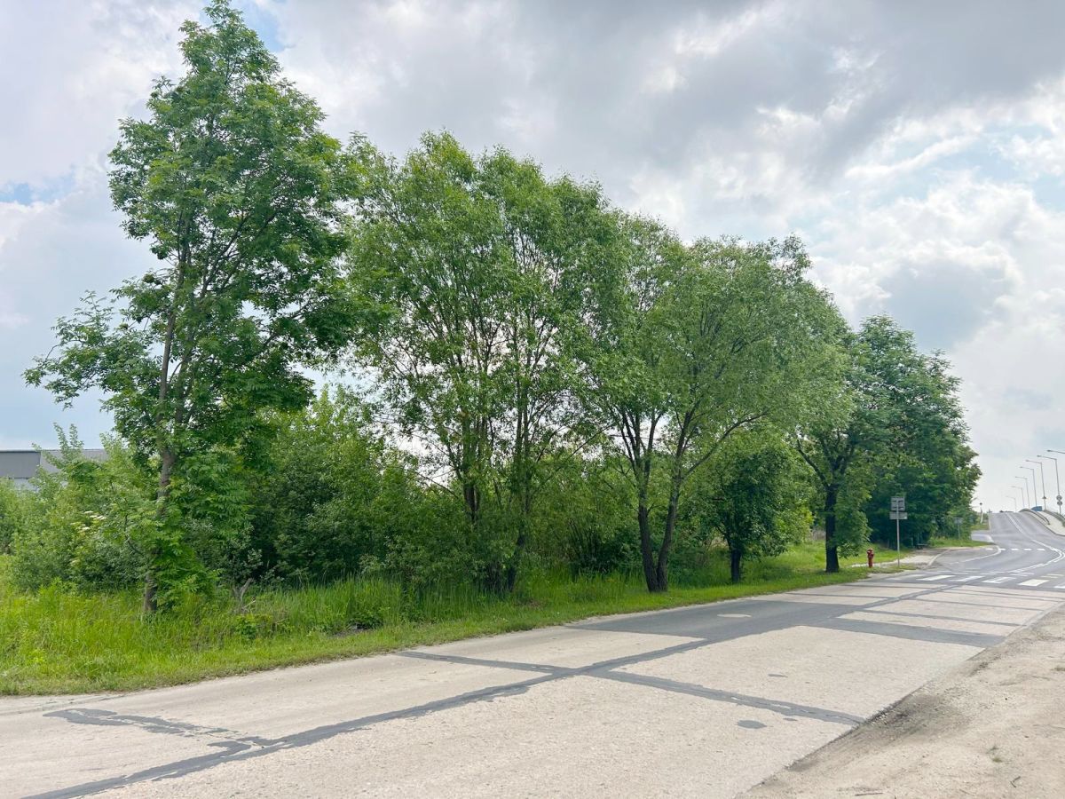 Działka pod Halę, mpzp – świetna lokalizacja! Poznań - zdjęcie 1