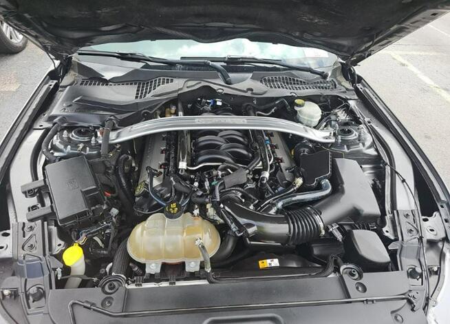 Ford Mustang GT Premium / 5.0 V8 / niski przebieg Cieszyn - zdjęcie 11