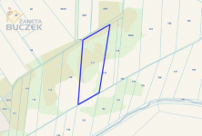 Na sprzedaż działka rolna w Starym Mikołajewie Mikołajew - zdjęcie 2