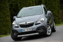 Innovation bi-Xenon Ledy Navi Skóry Grzana Kierownica Parktr. Aso Opel Ostrów Mazowiecka - zdjęcie 8
