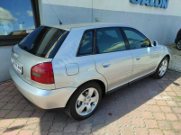 Audi A3 TDI 90KM, 5 drzwi, klima, el.szyby x4, alu, zarejestrowany Racibórz - zdjęcie 6