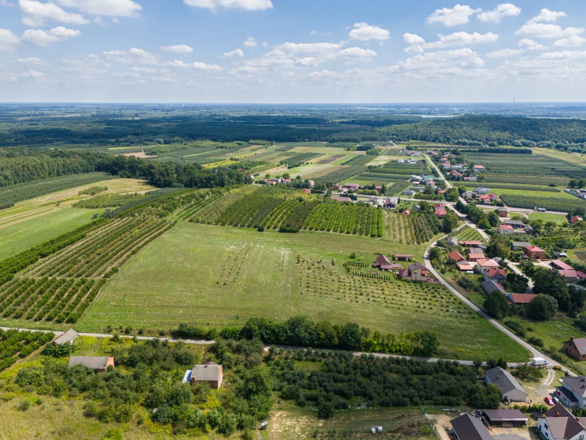 Dom wolnostojący | 3,1 ha | Urokliwe miejsce Skrzypaczowice - zdjęcie 4