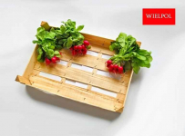 Opakowania do rzodkiewki / Skrzynki do rzodkiewki Wielichowo - zdjęcie 4