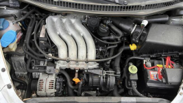 New Beetle Olsztyn - zdjęcie 2